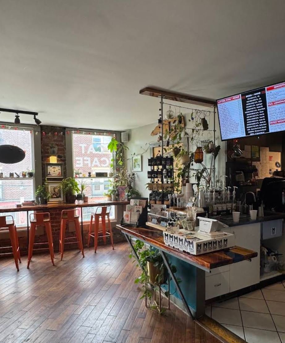 Mac Tabby Cat Cafe
